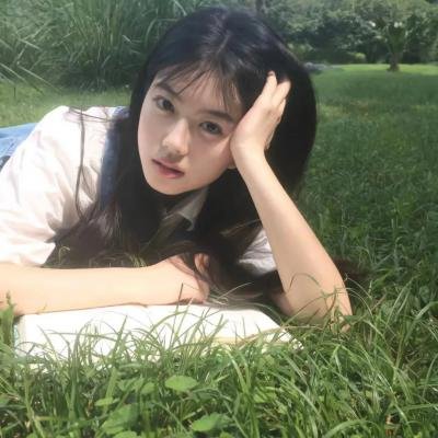 少林与咏春 粤语